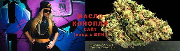 apvp Ельня