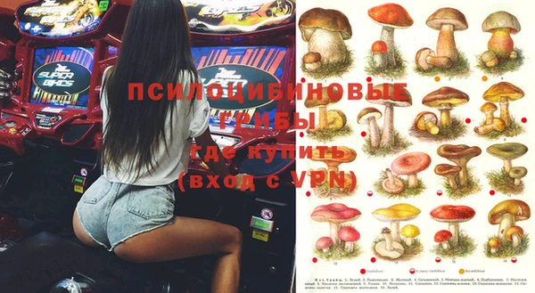 apvp Ельня
