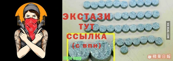 apvp Ельня