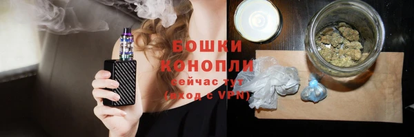 apvp Ельня