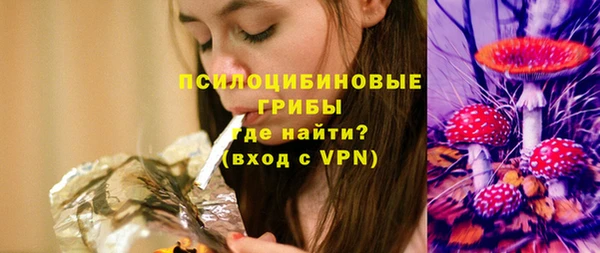 apvp Ельня