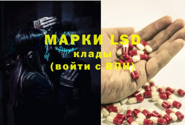 apvp Ельня