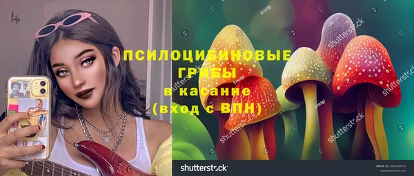 apvp Ельня