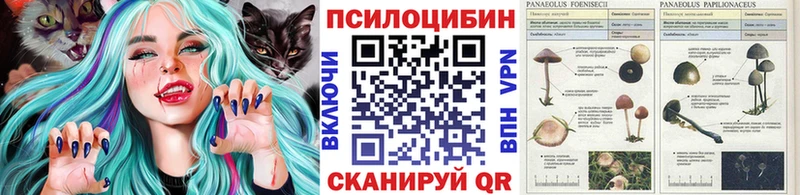 Купить  Питкяранта  Псилоцибиновые грибы мухоморы 